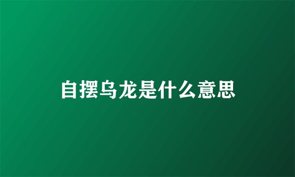 自摆乌龙是什么意思