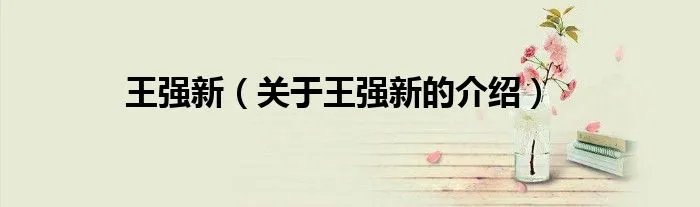 王强新（关于王强新的介绍）