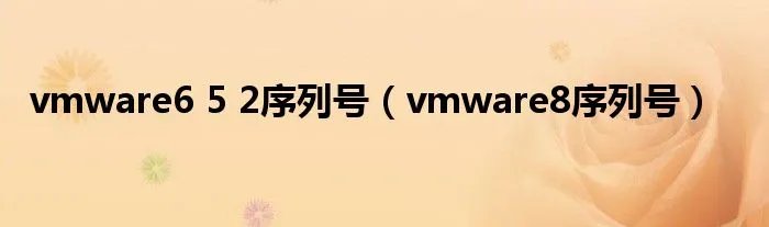 vmware6 5 2序列号(vmware8序列号)