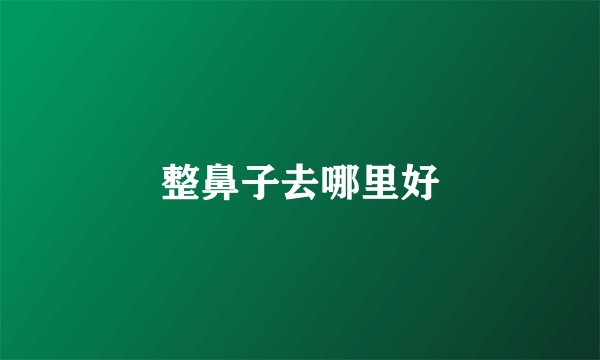 整鼻子去哪里好