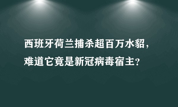 西班牙荷兰捕杀超百万水貂,难道它竟是新冠病毒宿主?