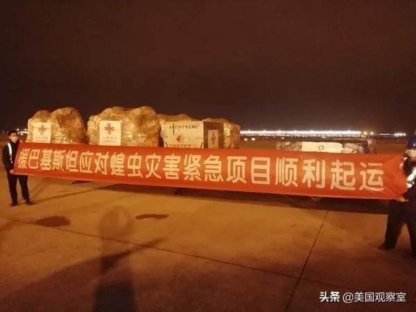 巴基斯坦蝗灾怎么样了?最近怎么感觉没人提及?