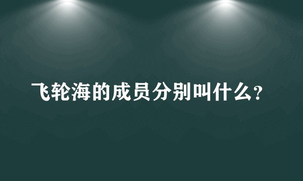 飞轮海的成员分别叫什么？