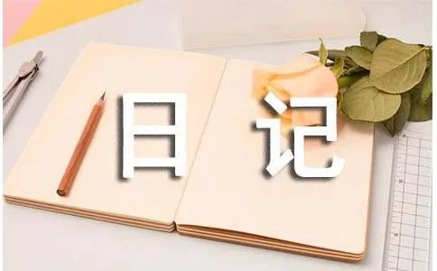 个人的日记