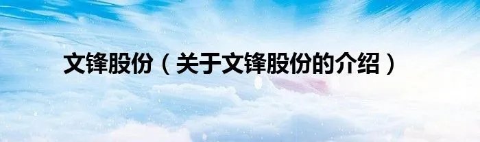 文锋股份（关于文锋股份的介绍）