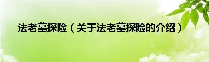 法老墓探险（关于法老墓探险的介绍）