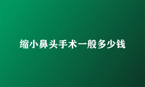 缩小鼻头手术一般多少钱