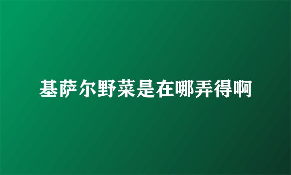 基萨尔野菜是在哪弄得啊