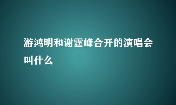 游鸿明和谢霆峰合开的演唱会叫什么