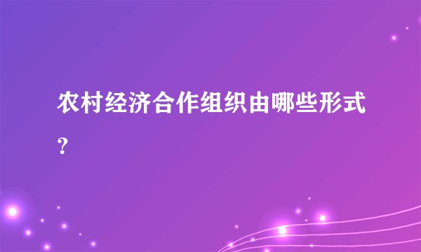农村经济合作组织由哪些形式？