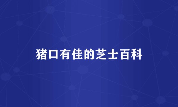 猪口有佳的芝士百科