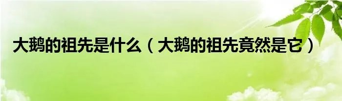 大鹅的祖先是什么（大鹅的祖先竟然是它）