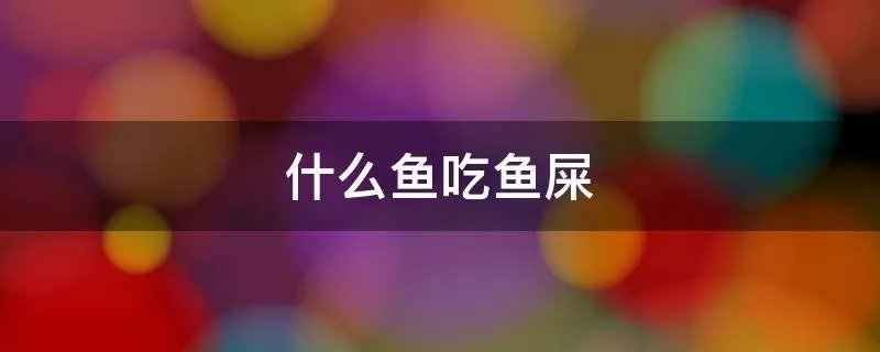 什么鱼吃鱼屎