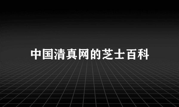 中国清真网的芝士百科