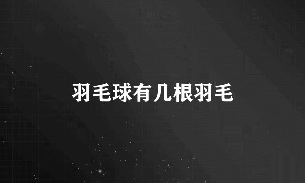羽毛球有几根羽毛