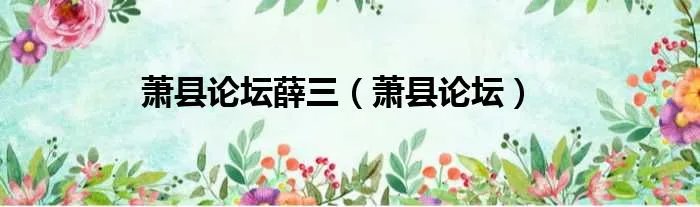萧县论坛薛三（萧县论坛）