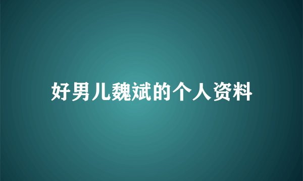 好男儿魏斌的个人资料