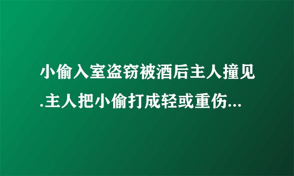小偷入室盗窃被酒后主人撞见.主人把小偷打成轻或重伤怎么处理？