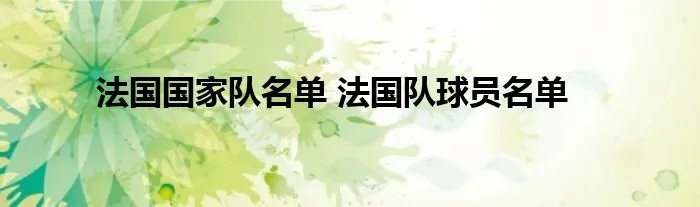 法国国家队名单 法国队球员名单