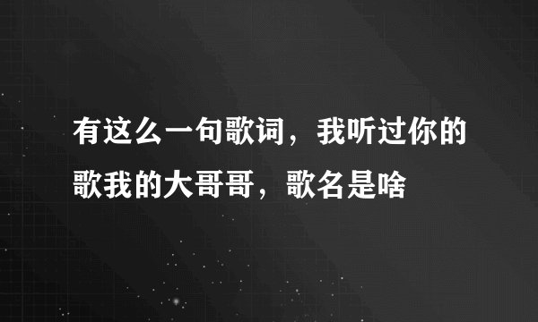 有这么一句歌词，我听过你的歌我的大哥哥，歌名是啥