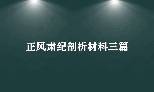正风肃纪剖析材料三篇
