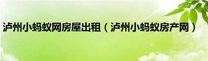 泸州小蚂蚁网房屋出租（泸州小蚂蚁房产网）