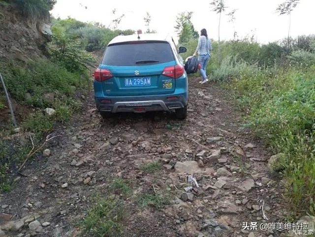 铃木维特拉变速箱是进口的吗? - 芝士回答