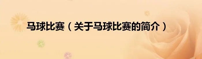 马球比赛（关于马球比赛的简介）