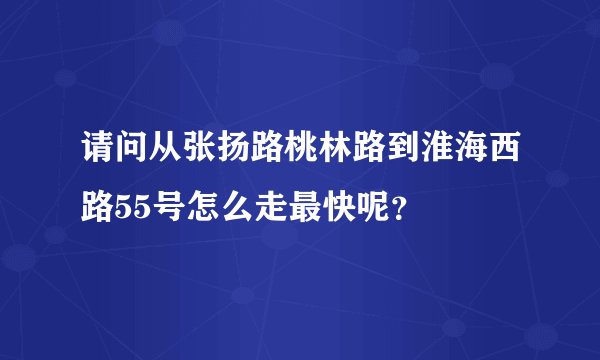 请问从张扬路桃林路到淮海西路55号怎么走最快呢?