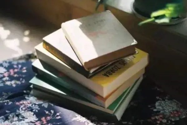 掉书袋，是什么意思？