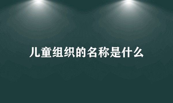 儿童组织的名称是什么