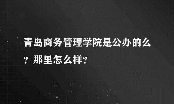 青岛商务管理学院是公办的么？那里怎么样？