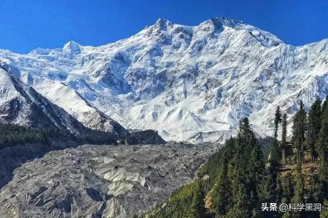 非洲蝗虫成灾,已影响印度和巴基斯坦,会传入中国吗?