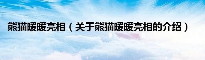 熊猫暖暖亮相（关于熊猫暖暖亮相的介绍）