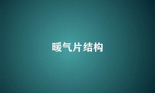 暖气片结构
