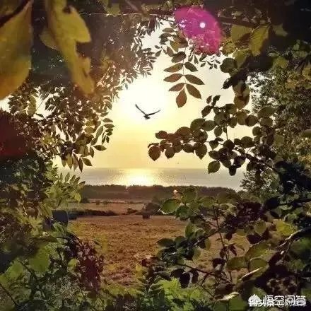上联：缘来缘去缘已尽，如何对下联？