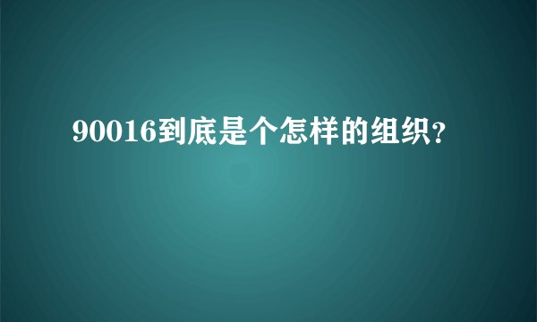 90016到底是个怎样的组织？