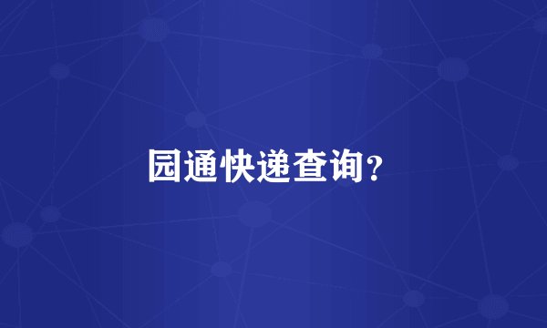 园通快递查询？