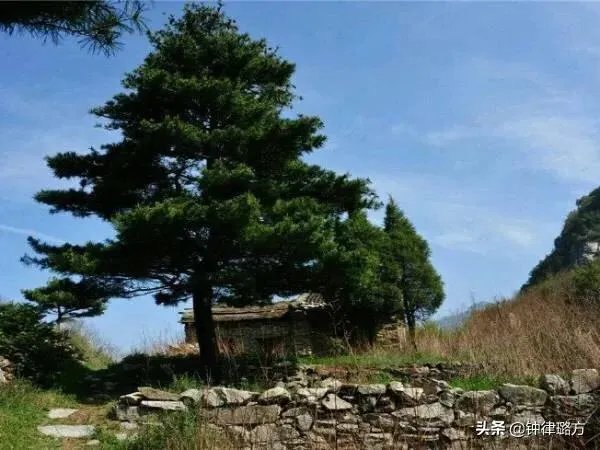 古代中的隐士为什么大多都长居在终南山，这里面有什么？