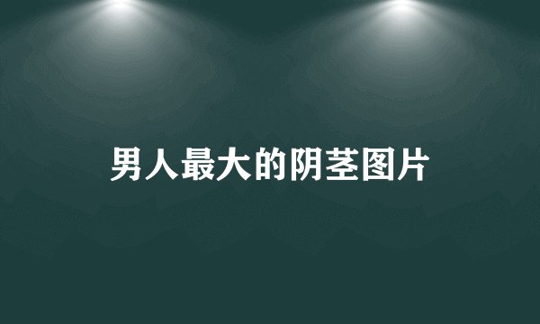 男人最大的阴茎图片