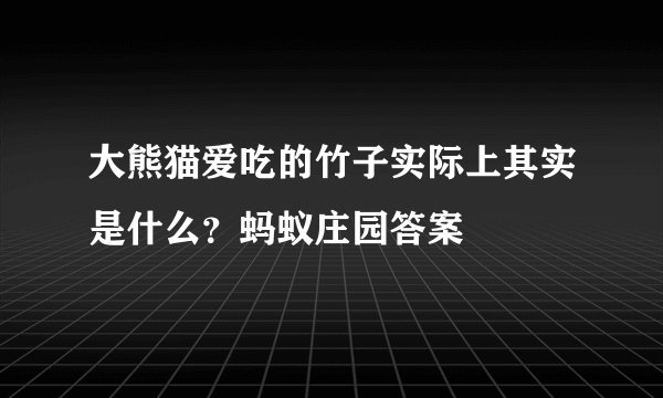 大熊猫爱吃的竹子实际上其实是什么？蚂蚁庄园答案