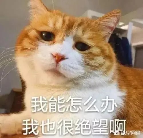 蚊子更喜欢叮咬哪类人?