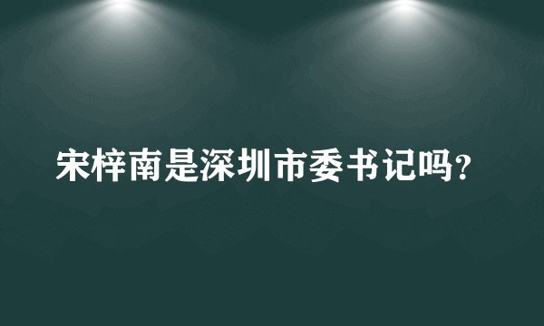 宋梓南是深圳市委书记吗？