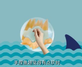 鱼翅要怎么泡发 鱼翅的泡发方法