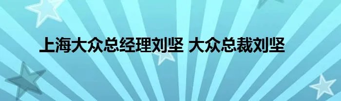 上海大众总经理刘坚 大众总裁刘坚