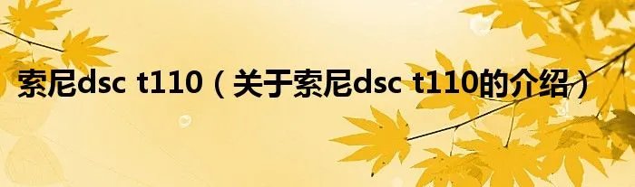 索尼dsc t110（关于索尼dsc t110的介绍）