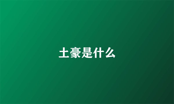 土豪是什么