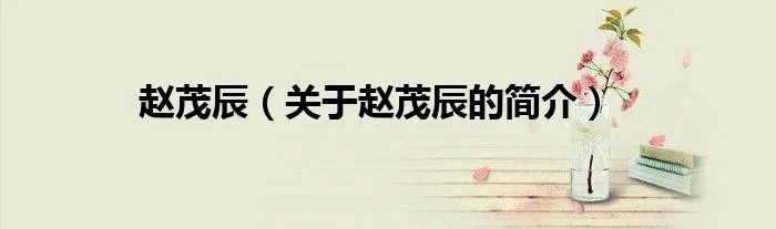 赵茂辰（关于赵茂辰的简介）