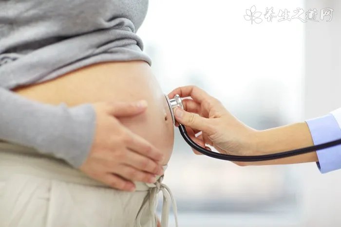 小宠物兔拉稀还有救吗