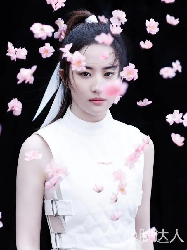 刘亦菲出演花木兰,大家怎么看?